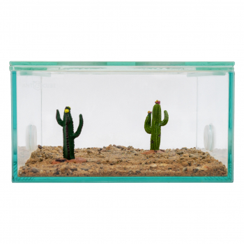 Decorative cacti set 5 pcs.